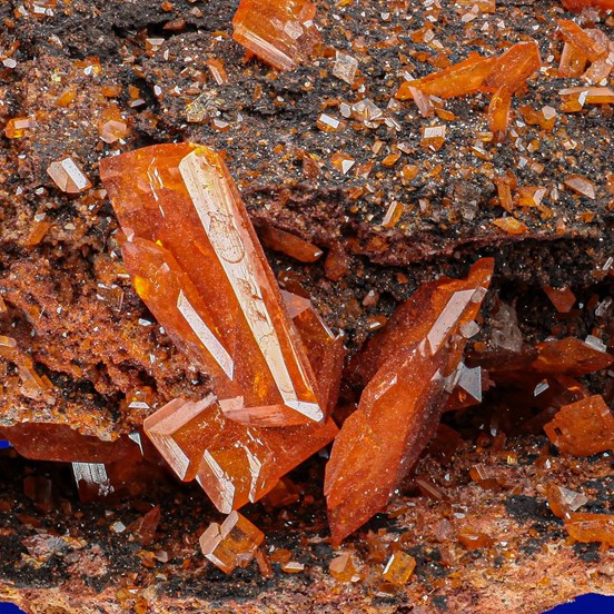 Wulfenite-Red Cloud Mine |  Silver District | La Paz Co. | Arizona | USA